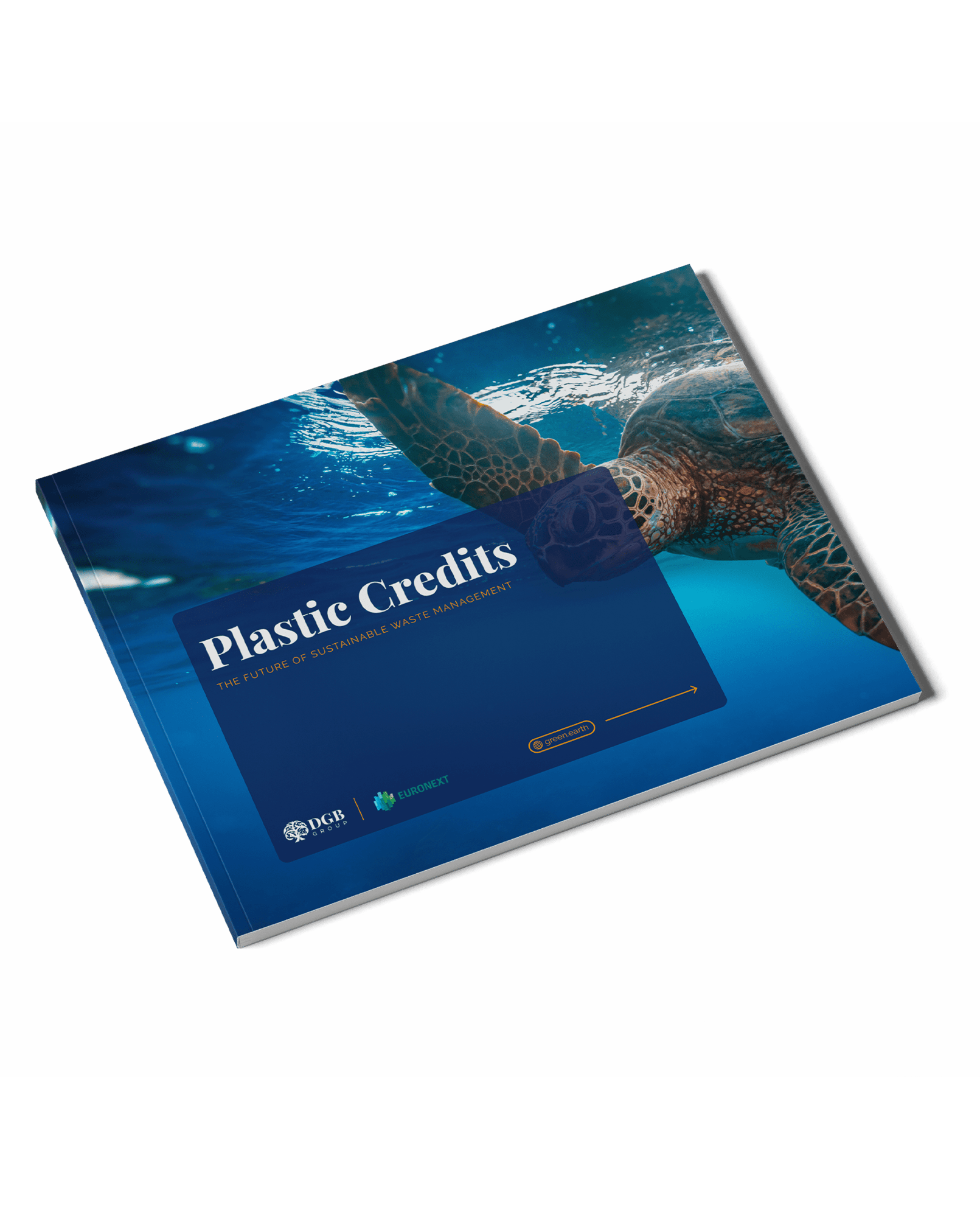 Dgb Plastic Credits Brochure